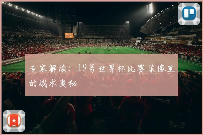 专家解读：19号世界杯比赛录像里的战术奥秘