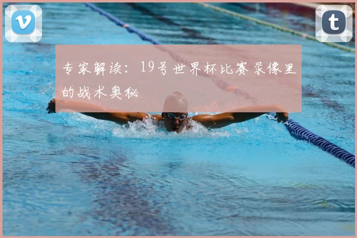 专家解读：19号世界杯比赛录像里的战术奥秘