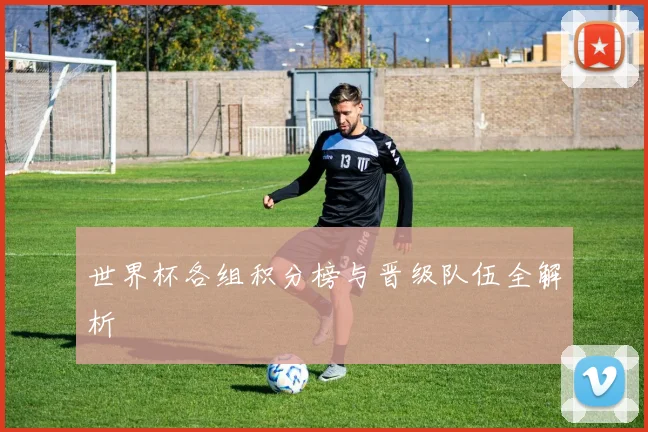 世界杯各组积分榜与晋级队伍全解析