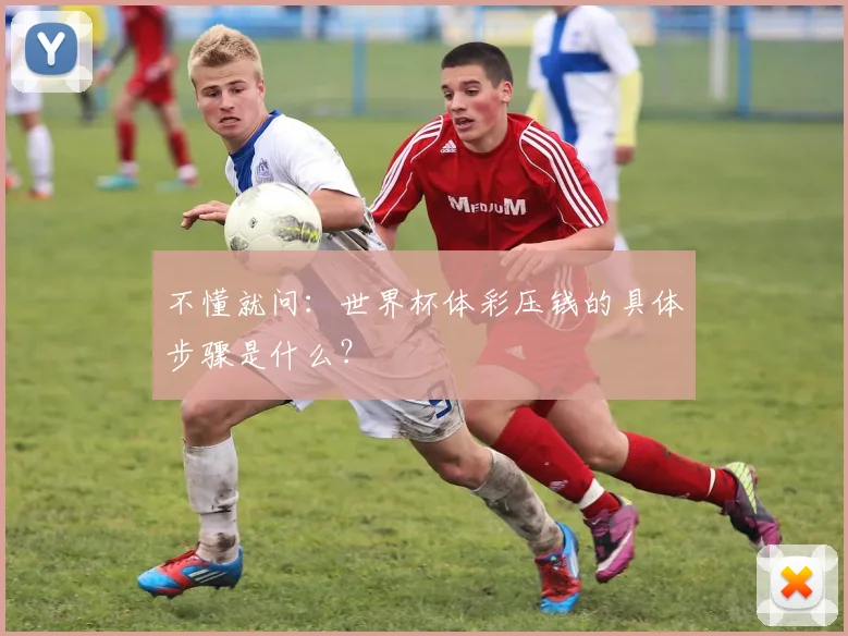 不懂就问：世界杯体彩压钱的具体步骤是什么？