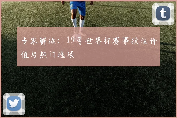 专家解读：19号世界杯赛事投注价值与热门选项
