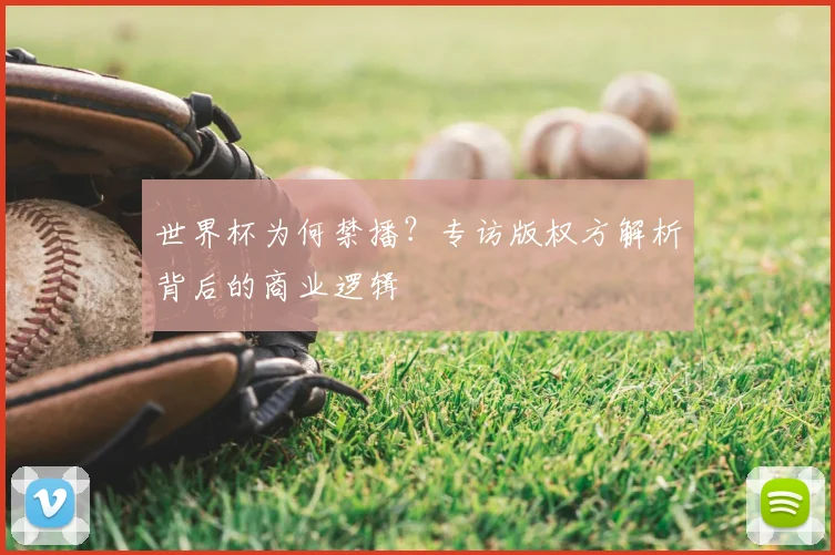 世界杯为何禁播？专访版权方解析背后的商业逻辑