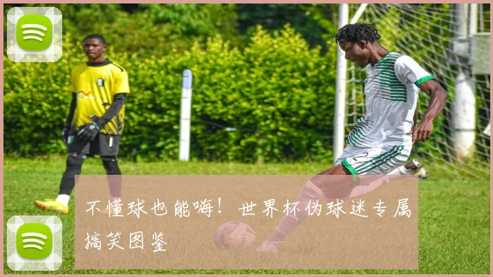 不懂球也能嗨！世界杯伪球迷专属搞笑图鉴