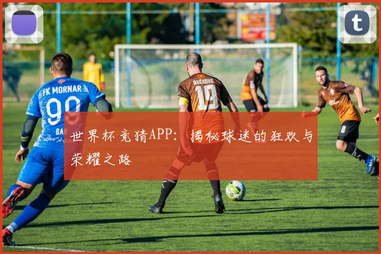 世界杯竞猜APP：揭秘球迷的狂欢与荣耀之路