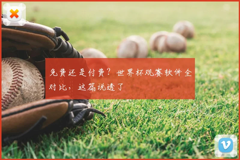 免费还是付费？世界杯观赛软件全对比，这篇说透了