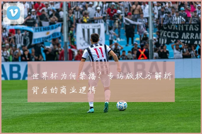 世界杯为何禁播？专访版权方解析背后的商业逻辑