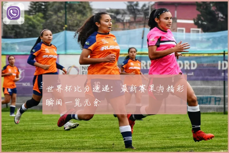 世界杯比分速递：最新赛果与精彩瞬间一览无余