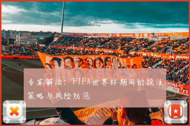 专家解读：FIFA世界杯期间的投注策略与风险防范