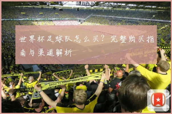 世界杯足球队怎么买？完整购买指南与渠道解析