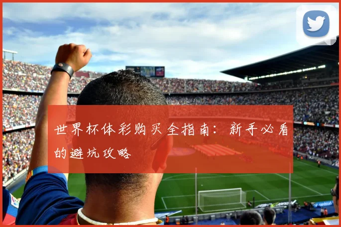 世界杯体彩购买全指南：新手必看的避坑攻略